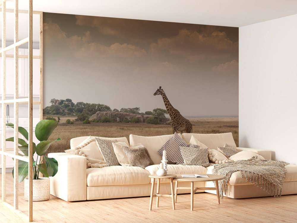 Girafe dans la savane