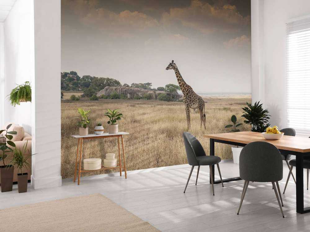 Girafe dans la savane