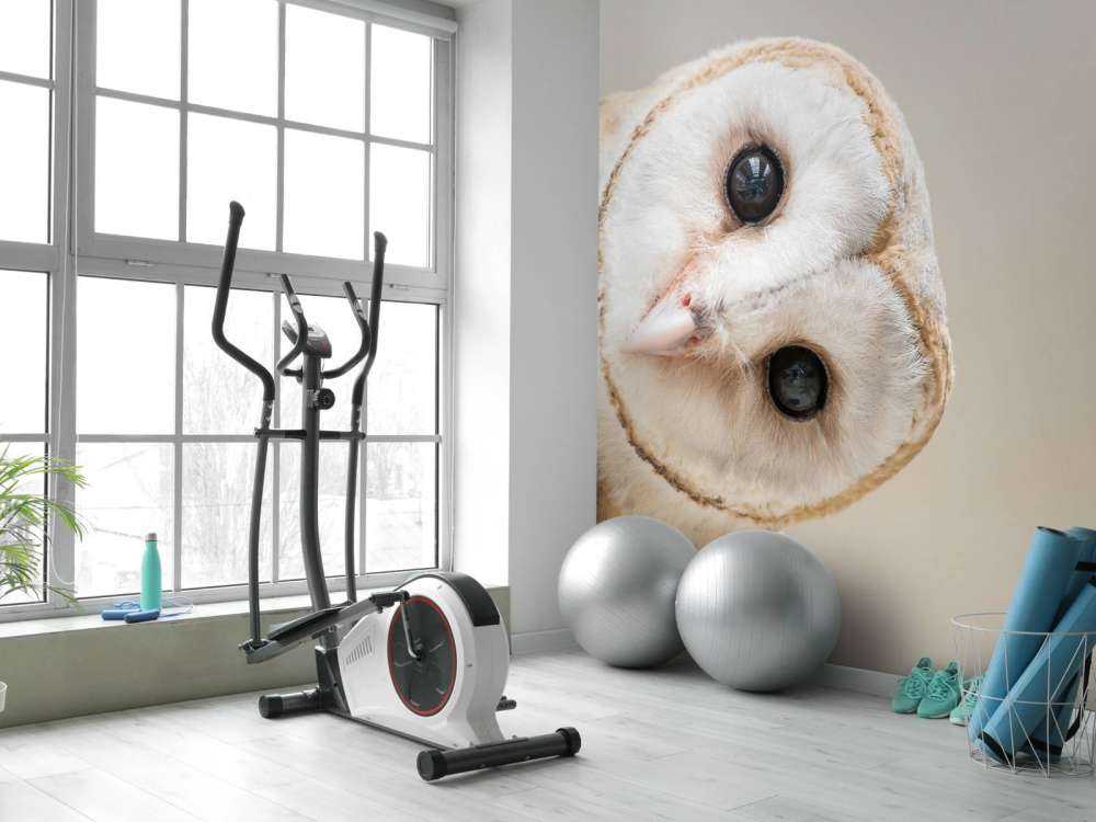 Chouette avec la tête inclinée