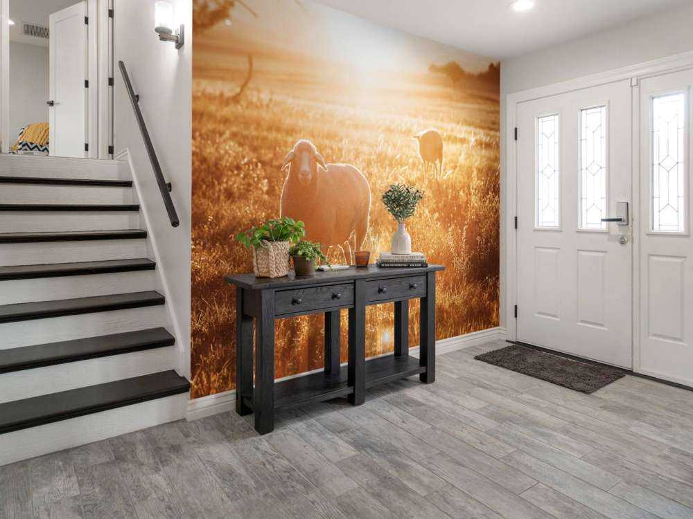 Moutons dans un beau pâturage