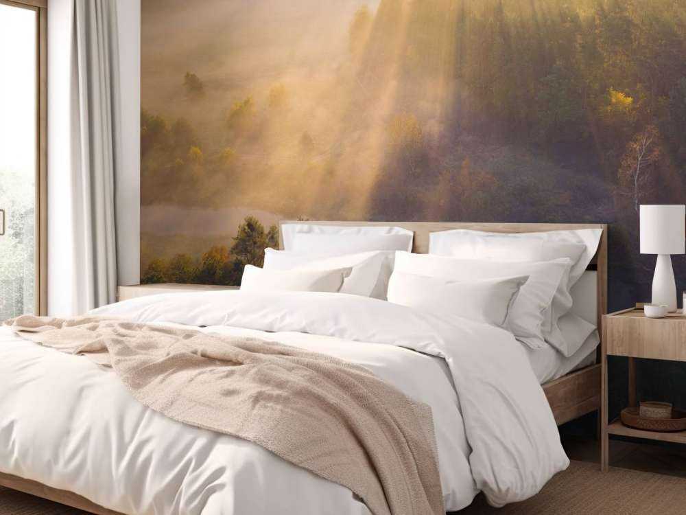 Brume matinale rêveuse dans la nature