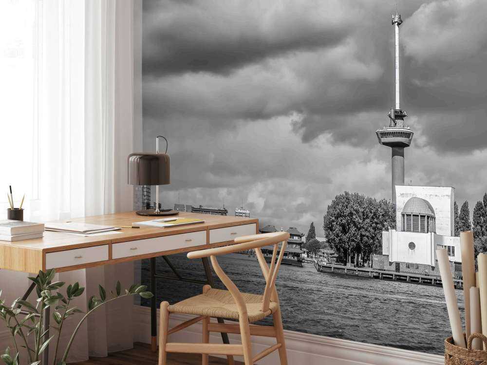 Euromast et Maas en monochrome