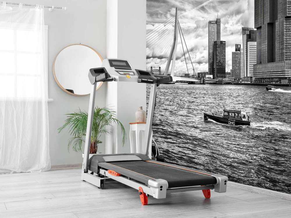 Erasmusbrug et Skyline en Monochrome