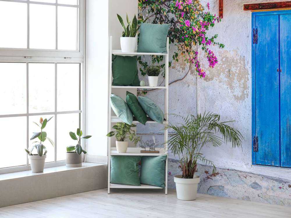 Porte bleue avec bougainvillier