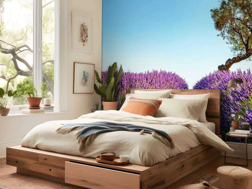 Sentier de lavande sous un ciel bleu.