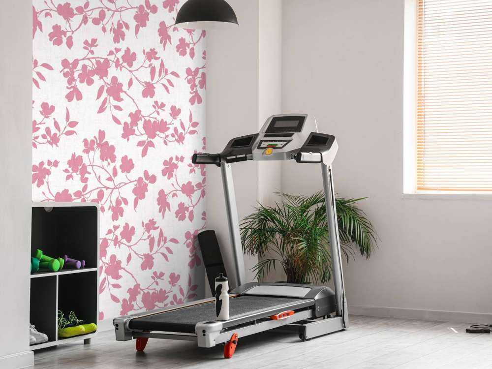 Jardin de Cornouiller Étape 06B