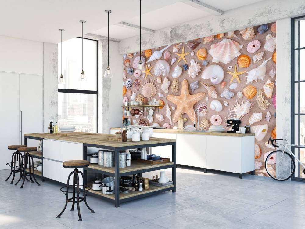 Plein cadre de collection de coquillages.