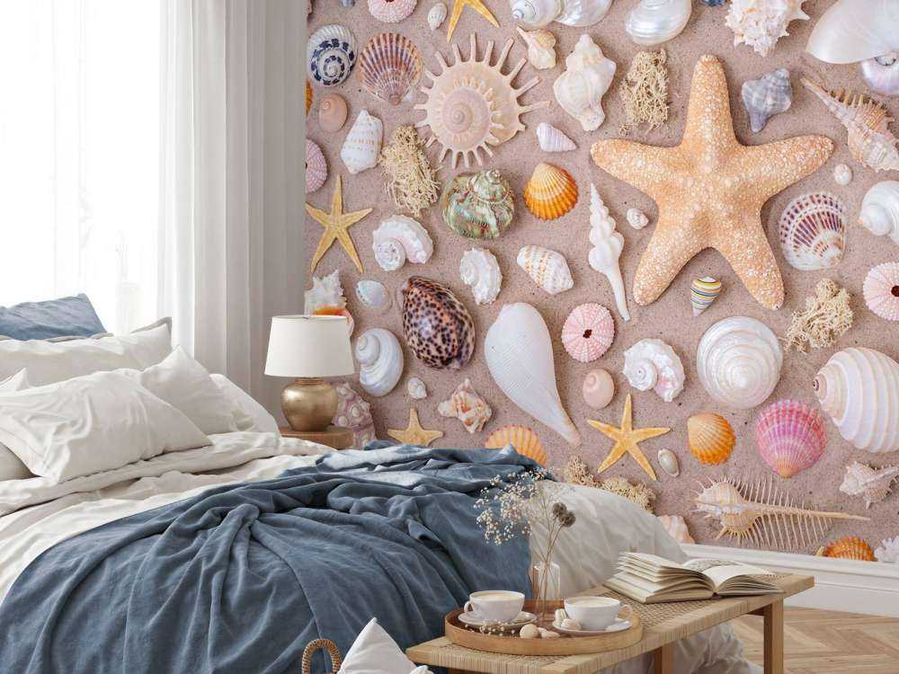 Plein cadre de collection de coquillages.
