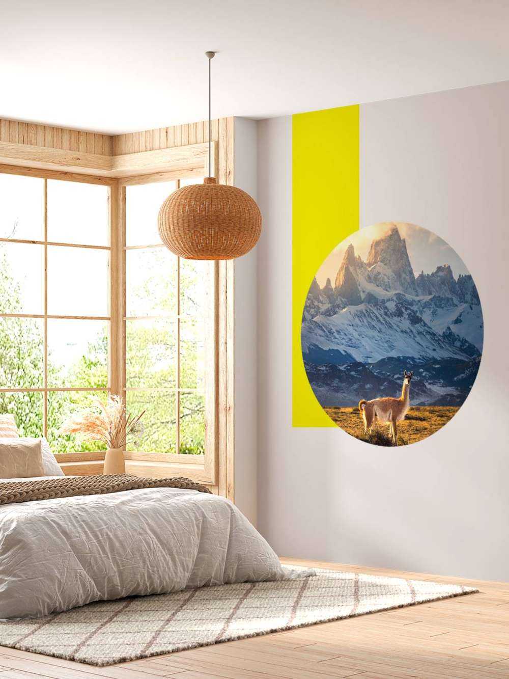 Guanaco en pleine lumière devant les sommets des Andes.