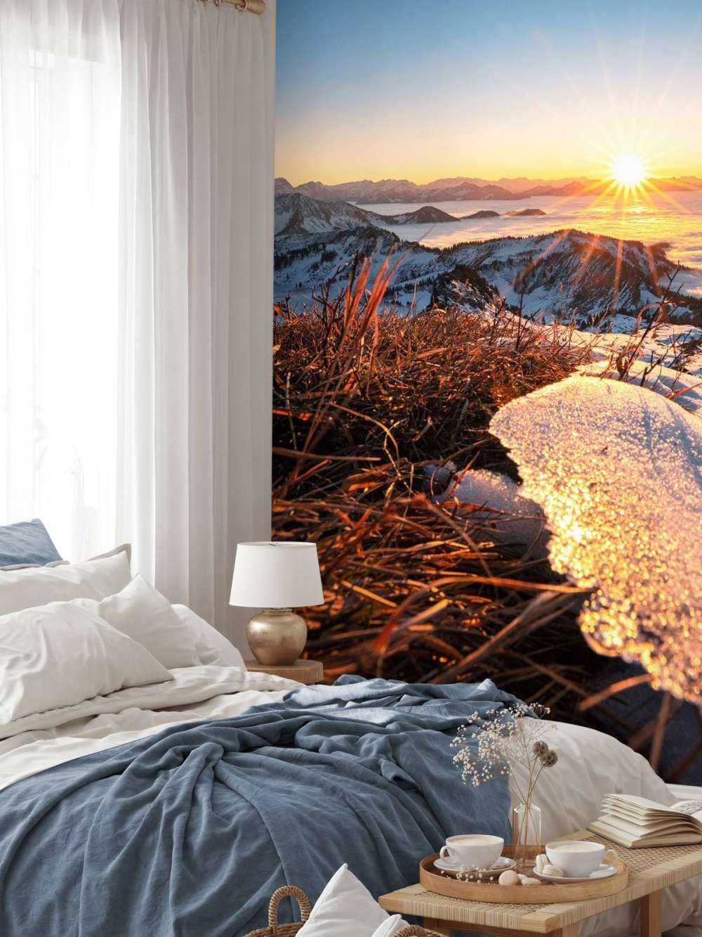 Le soleil du matin sur la prairie de montagne scintillante