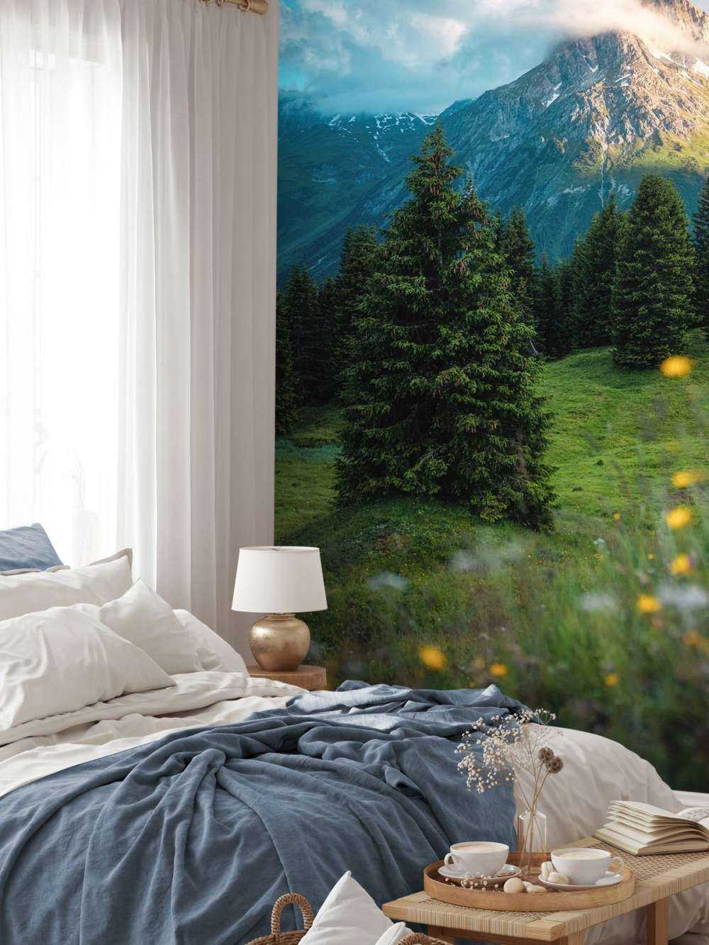 Prairie de montagne dans la brume du matin.