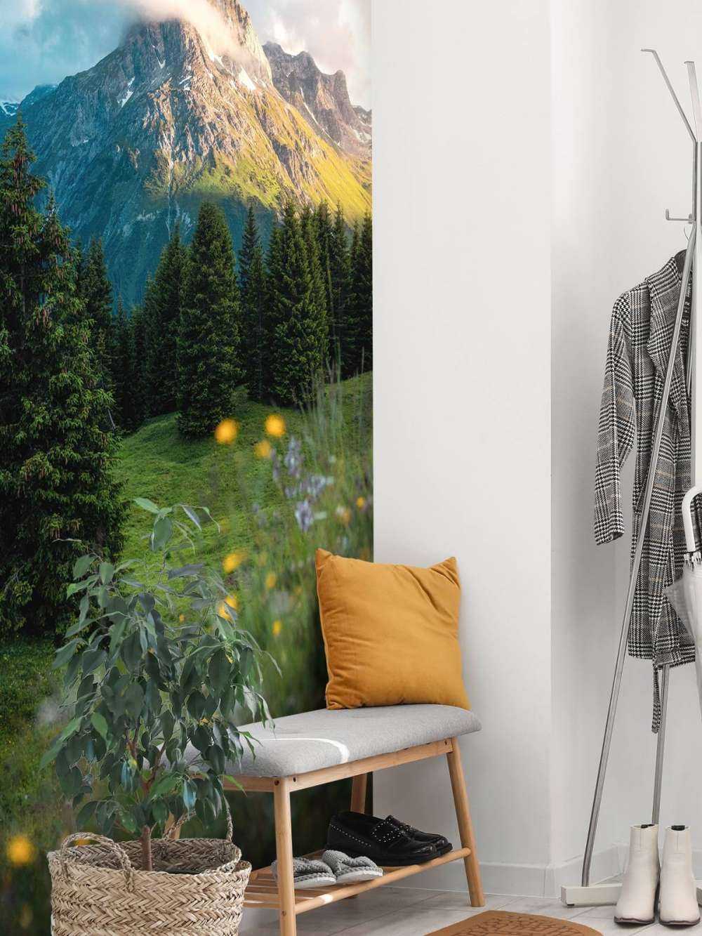 Prairie de montagne dans la brume du matin.