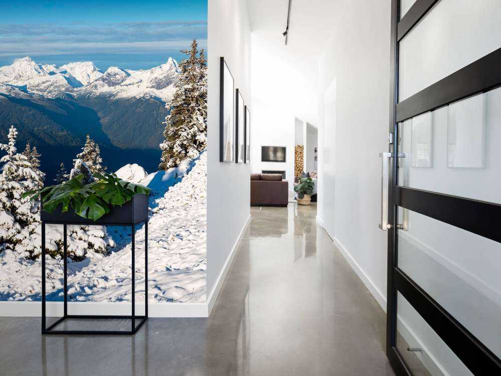 Pins enneigés avec vue sur la montagne