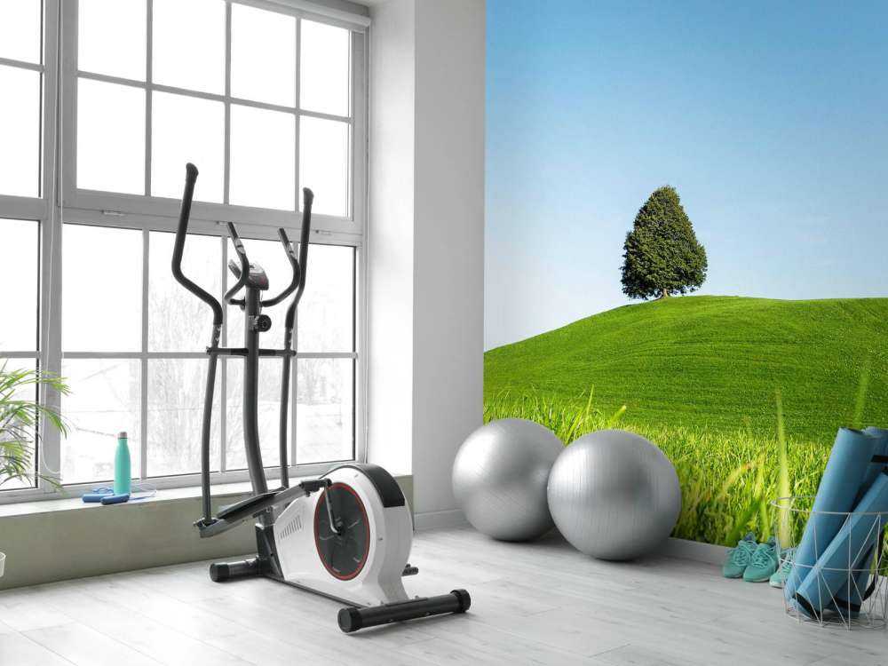 Arbre solitaire sur une colline verte