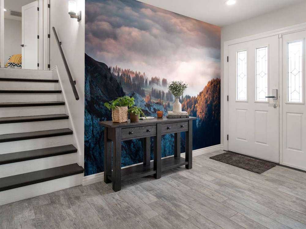 Lisière de forêt dans la brume du matin.