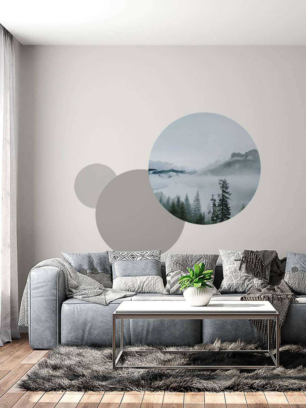 Brume matinale sur la forêt