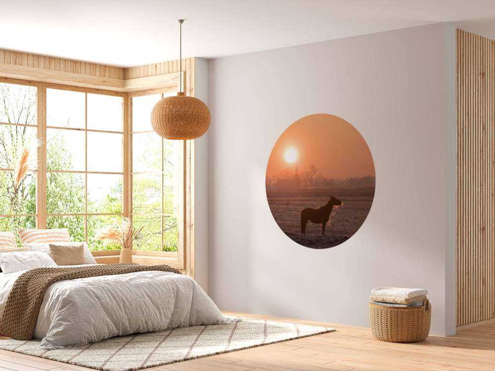 Cheval dans la lueur du matin