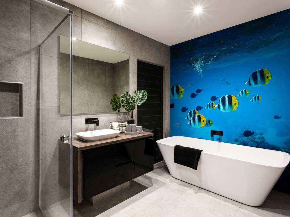 Poissons de récif tropicaux dans l'eau bleu clair