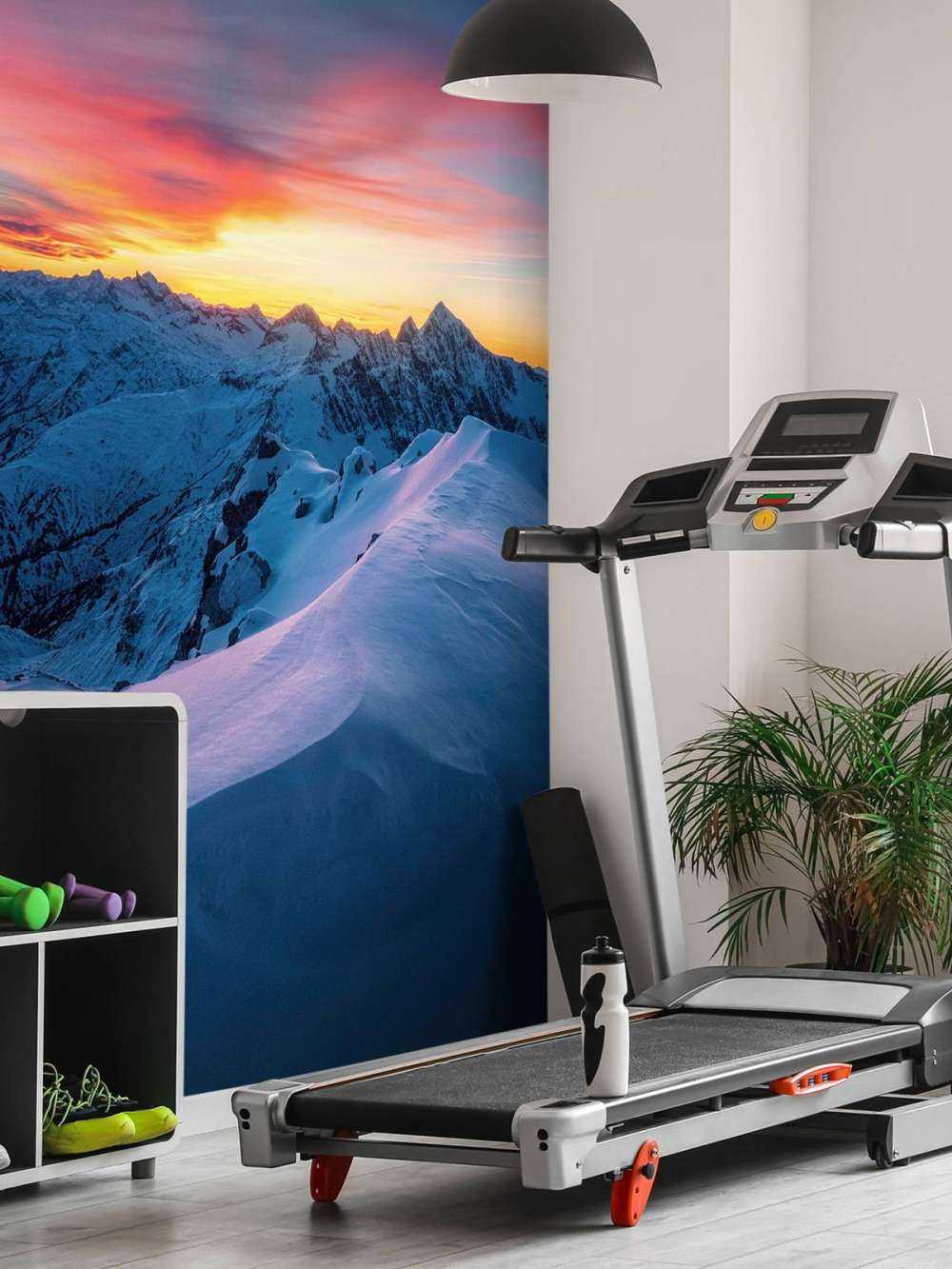 Pics enneigés à l'aube.