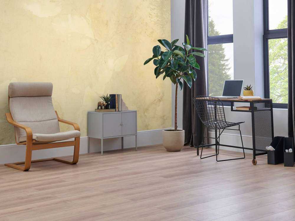 Weegbree et géranium sauvage - contre-jour