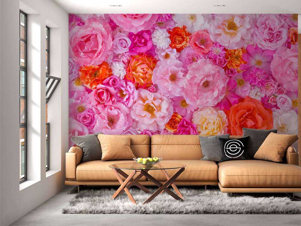 Plein cadre de variété de roses de jardin, fond de fleurs