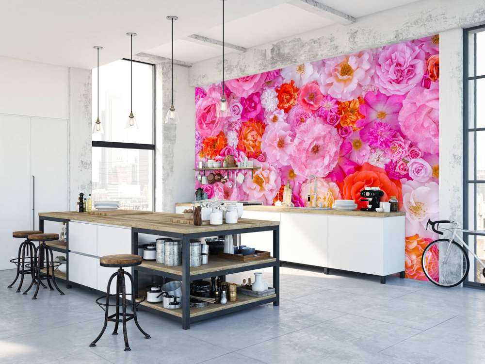 Plein cadre de variété de roses de jardin, fond de fleurs