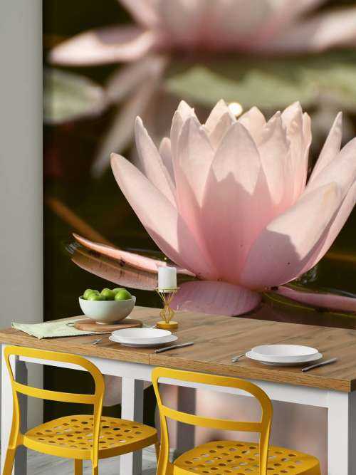 Papier Peint Panoramique Fleur de lotus blanc