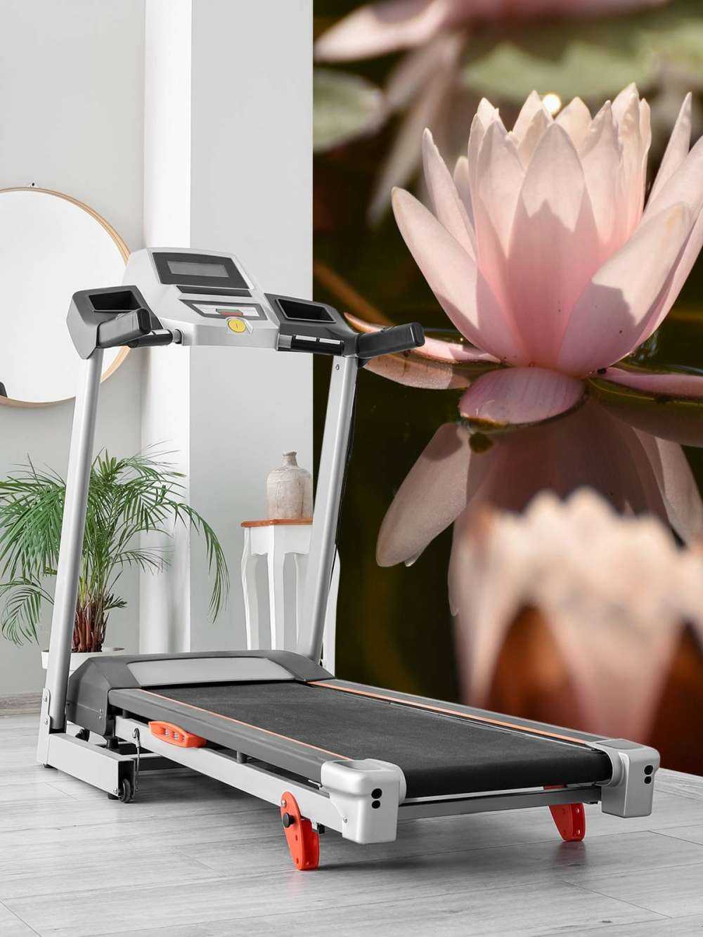 Fleur de lotus dans l'eau