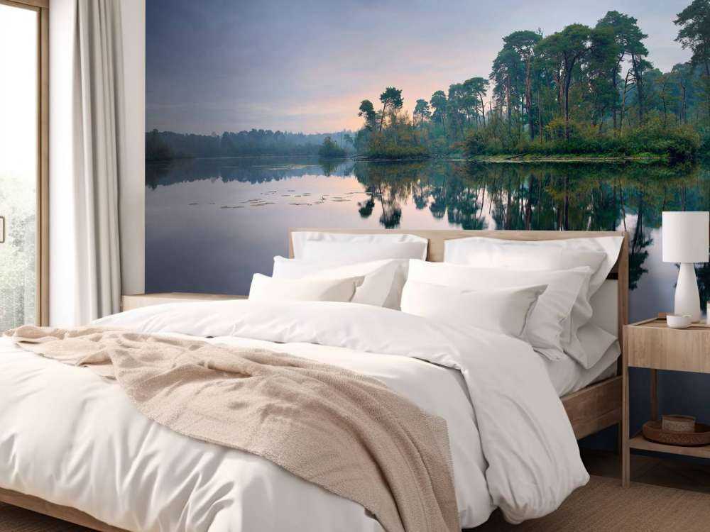 Reflets de la forêt dans l'eau au soleil levant