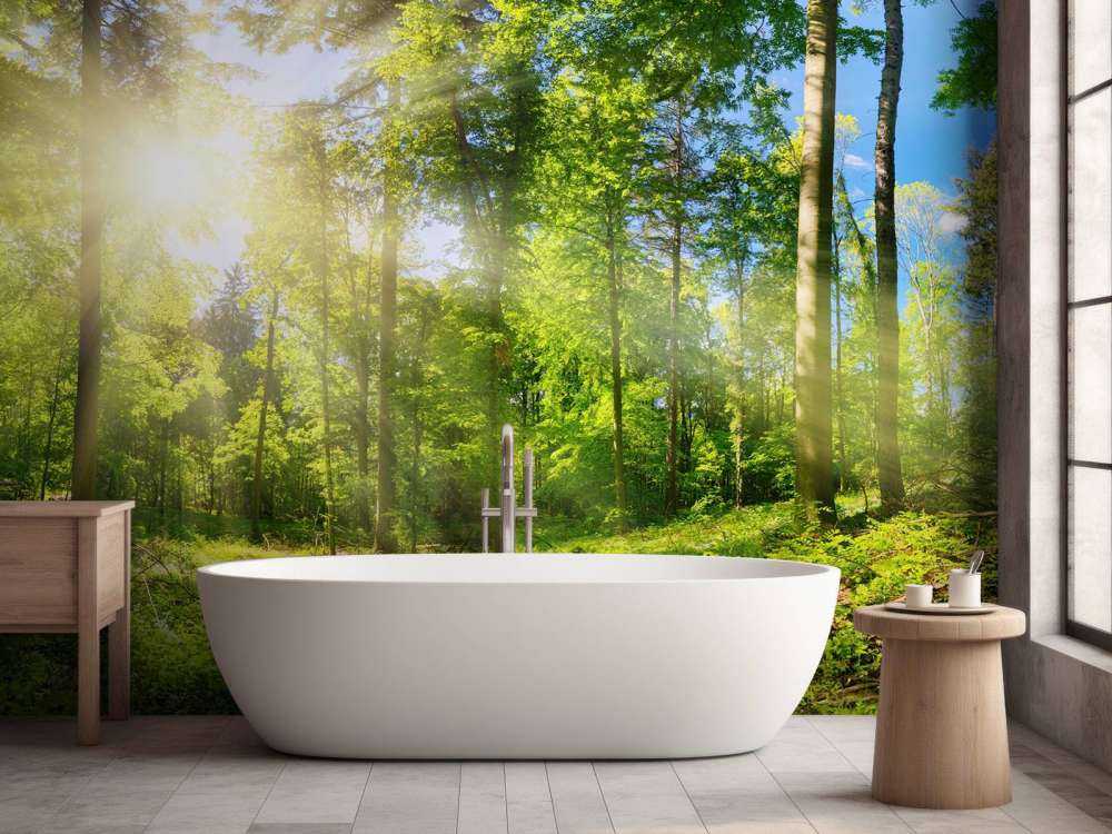 Une forêt avec des rayons de soleil