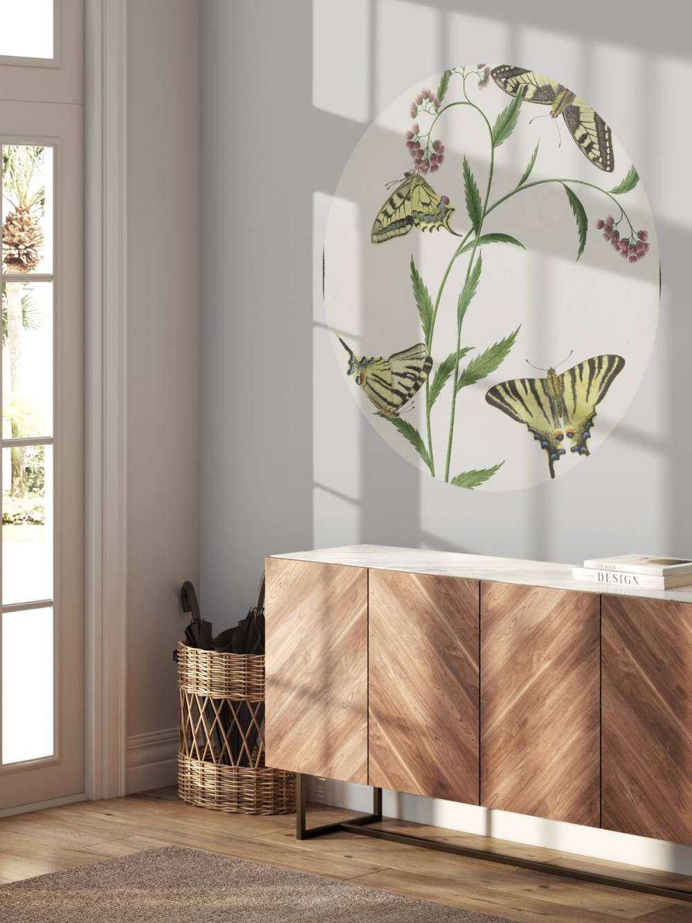 Quatre papillons sur des fleurs, Paulus Knogh