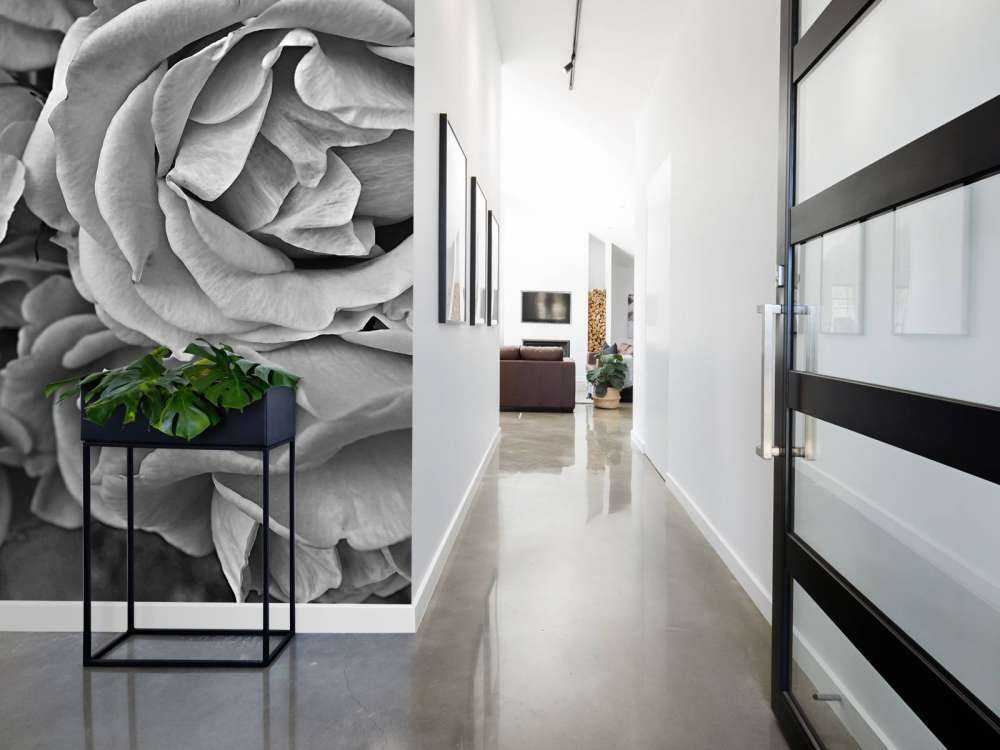 Les roses en noir et blanc