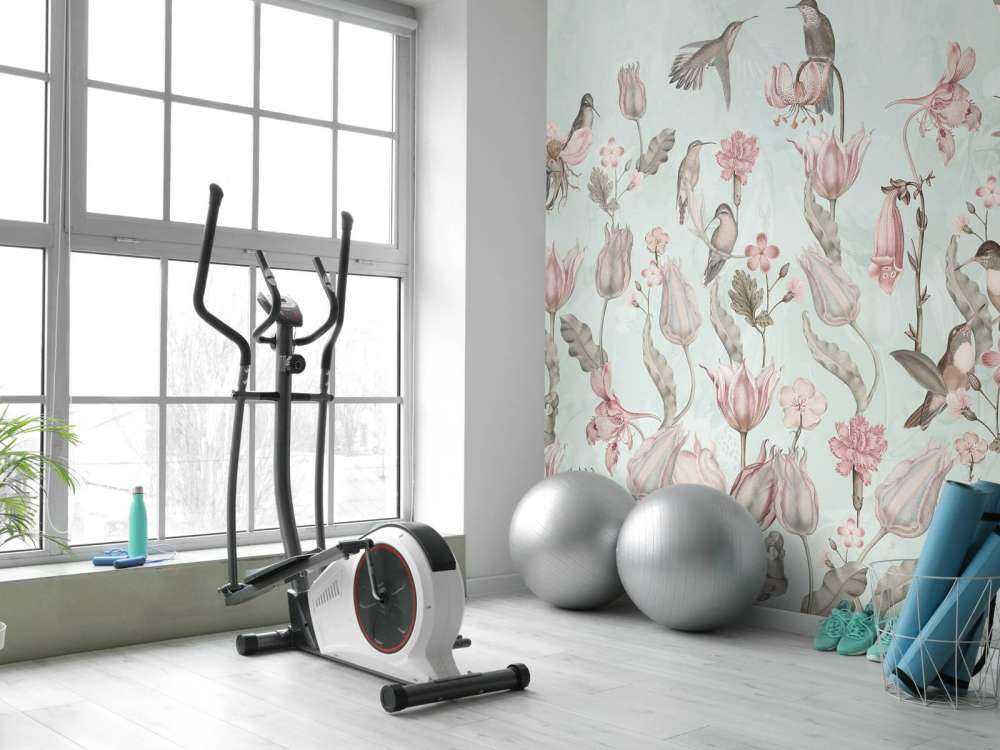 Symphonie des Colibris de Printemps - Prairie de Menthe