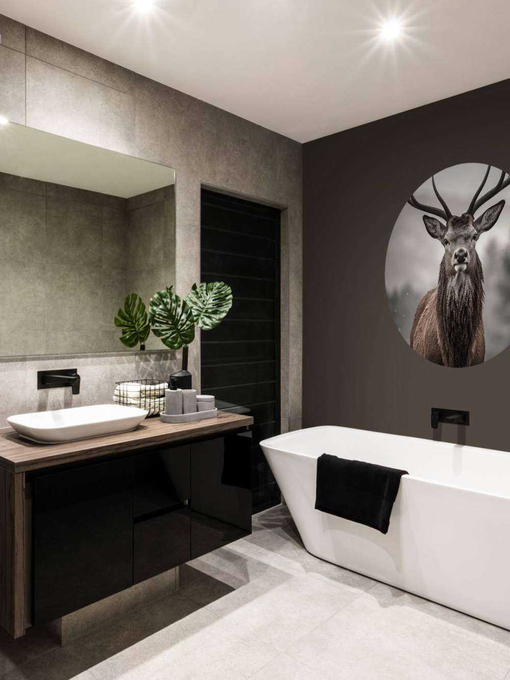 Le roi de l'hiver Le regard du cerf