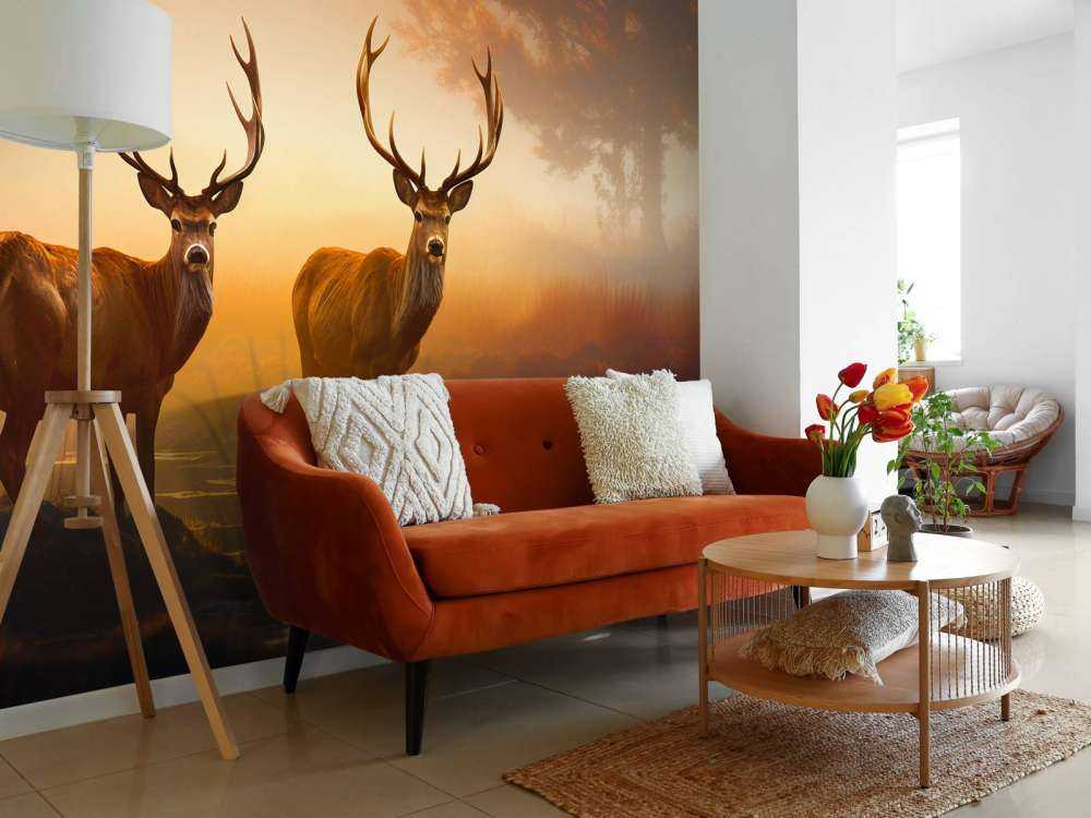 Gloire du matin Splendeur du cerf