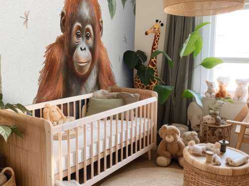 Jeune orang-outan dans la jungle