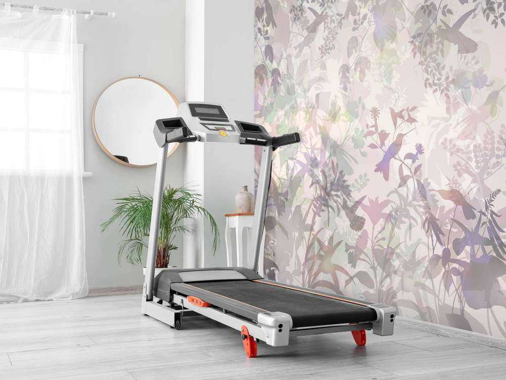 Symphonie de jardin en violet