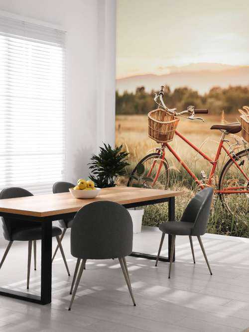Vélo vintage en été