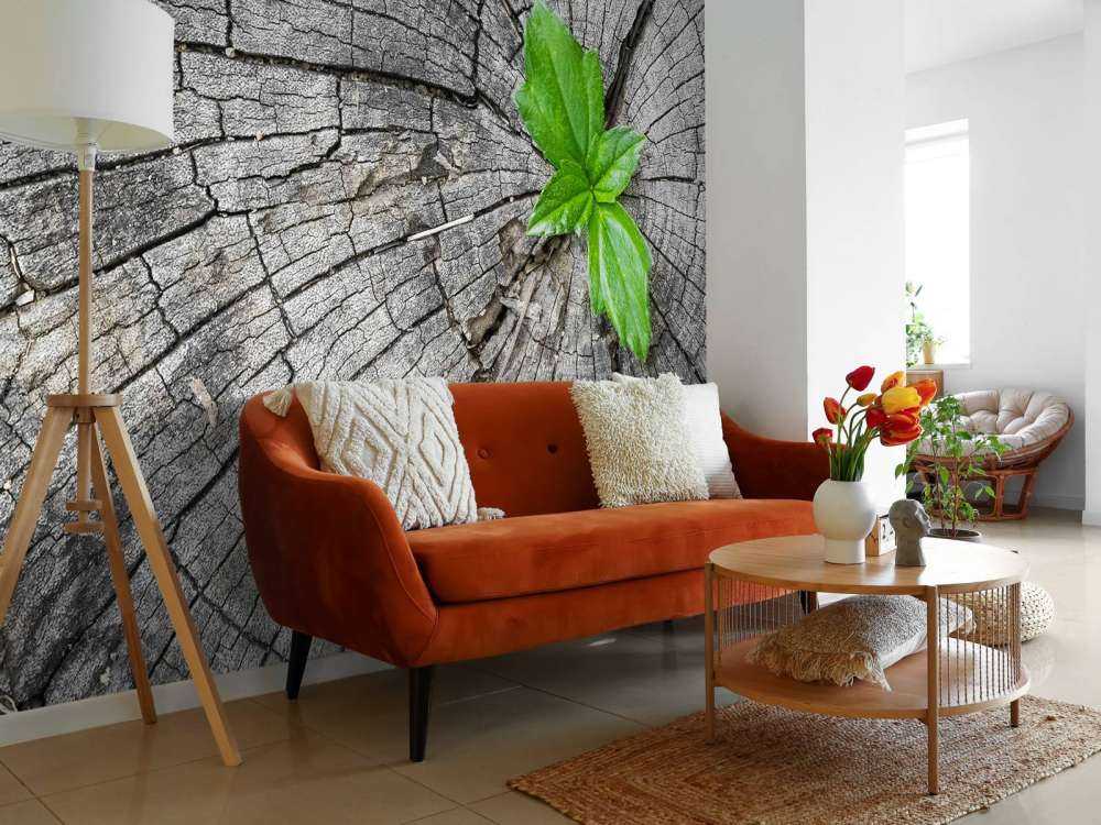 Diamètre d'un tronc d'arbre