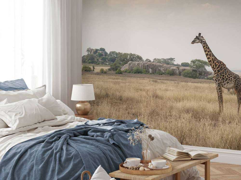 Girafe dans la savane