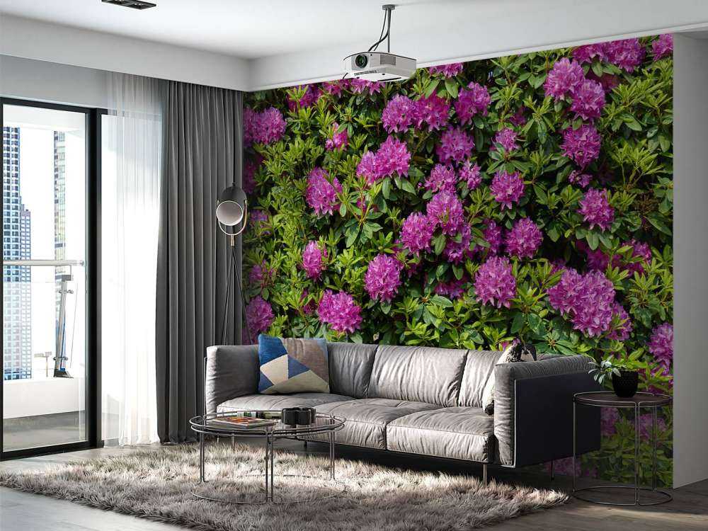Rhododendrons