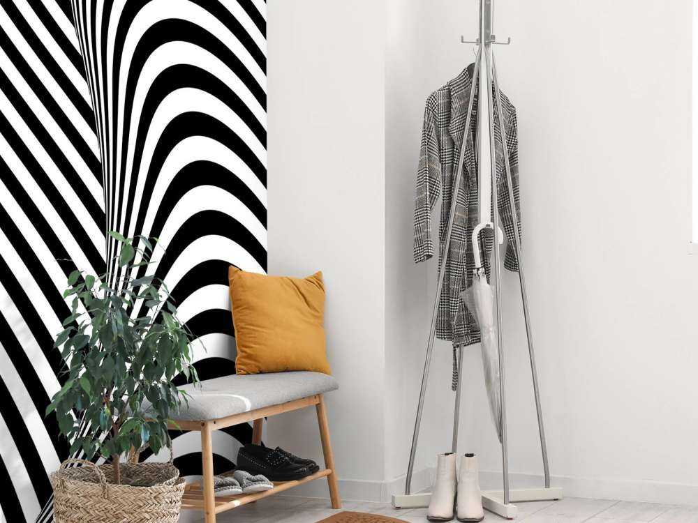 Black and white op art