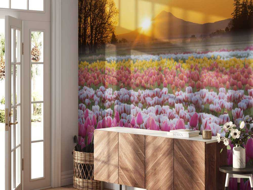 Champ de tulipes coloré