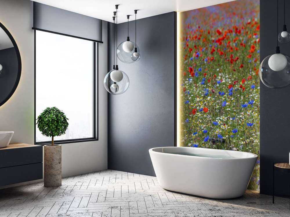 Champ plein de coquelicots