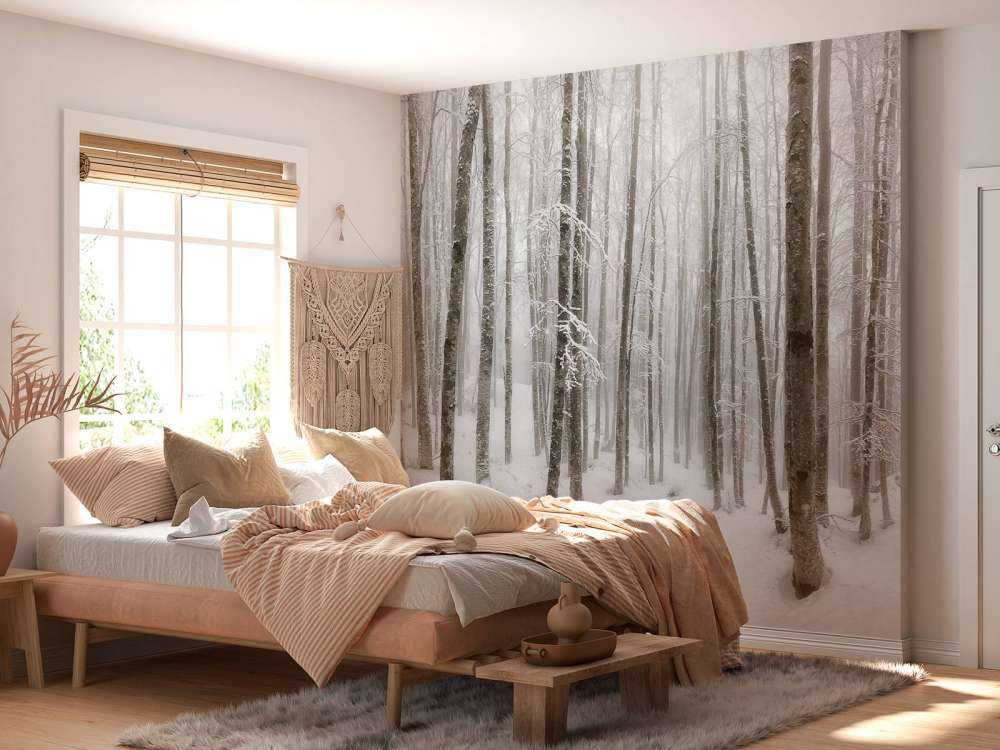 Forêt de hêtres avec de la neige