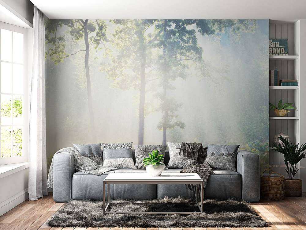 Une forêt mystérieuse