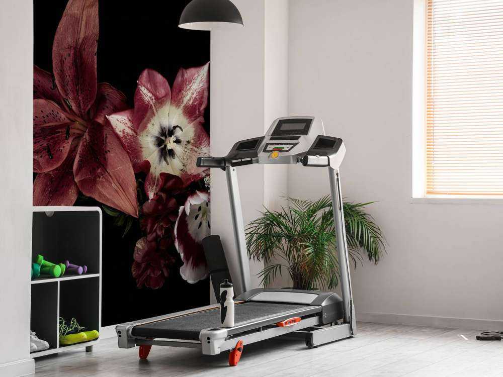 Fleurs colorées composition florale