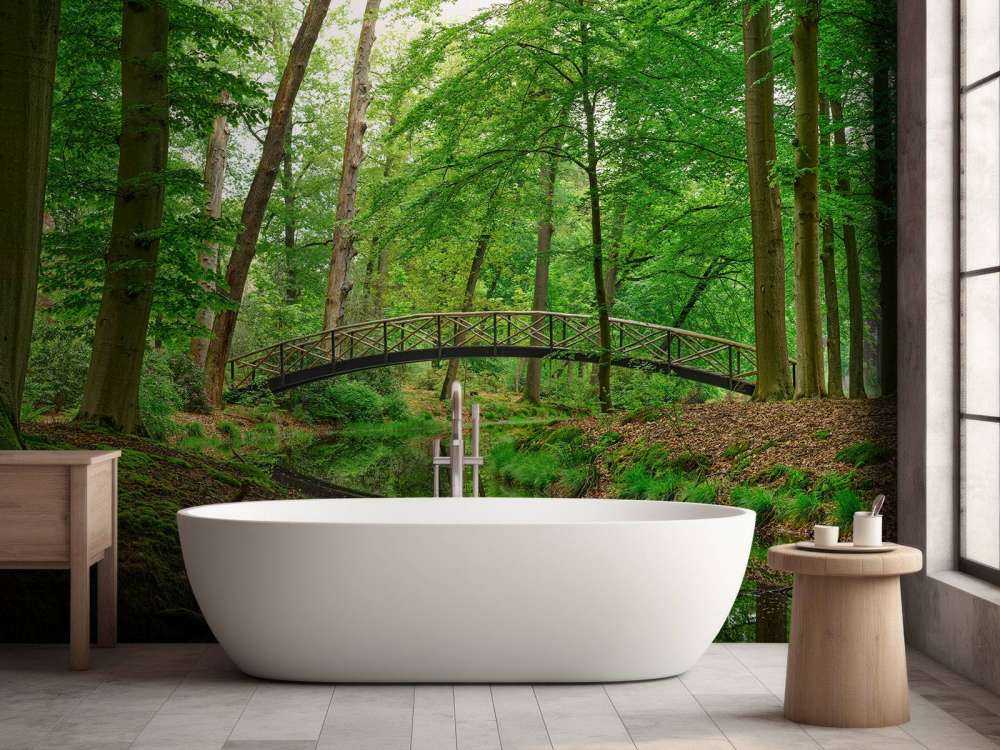 Pont en arc dans les bois