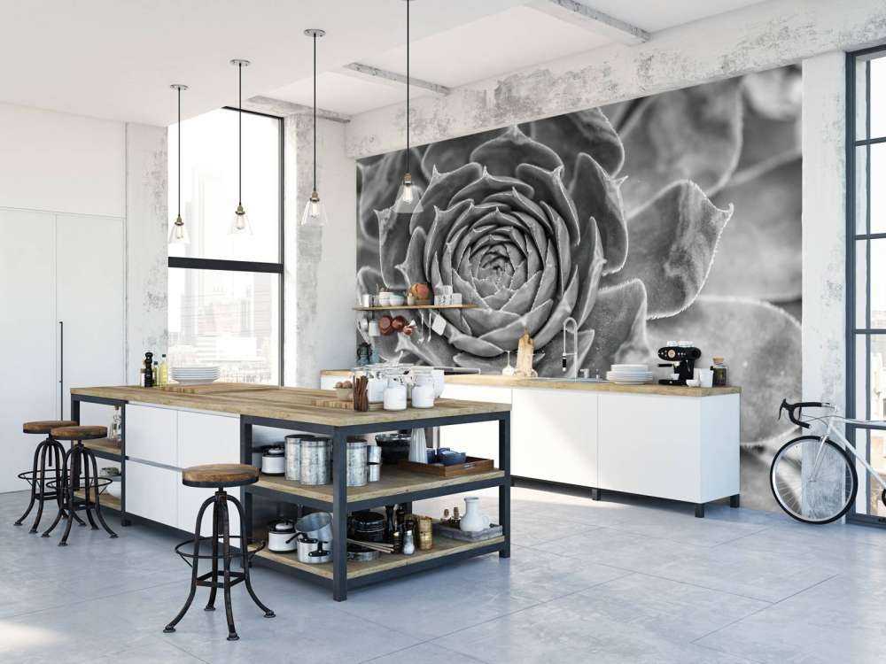 Gros plan sur une succulente