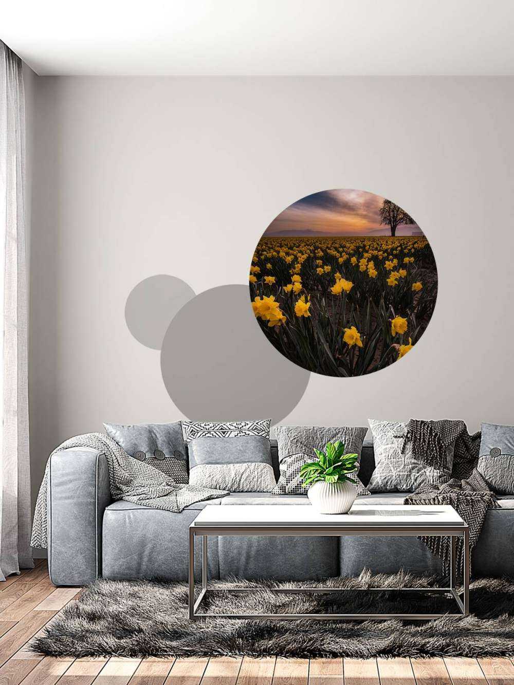 Champ avec jonquilles